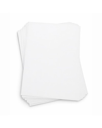Papier enduit thermoscellable pour produit humide et possibilité de le scellé 25 x 32 cm