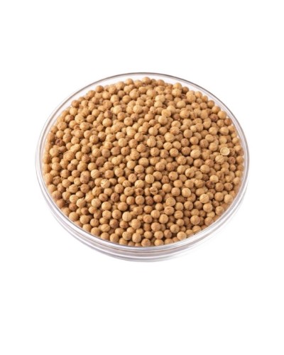 Coriandre en graines