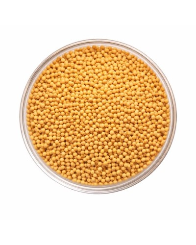 Graines de moutarde jaune